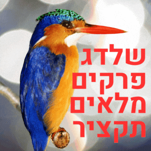 תקציר הסדרה שלדג פרקים מלאים